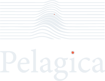 Pelagica